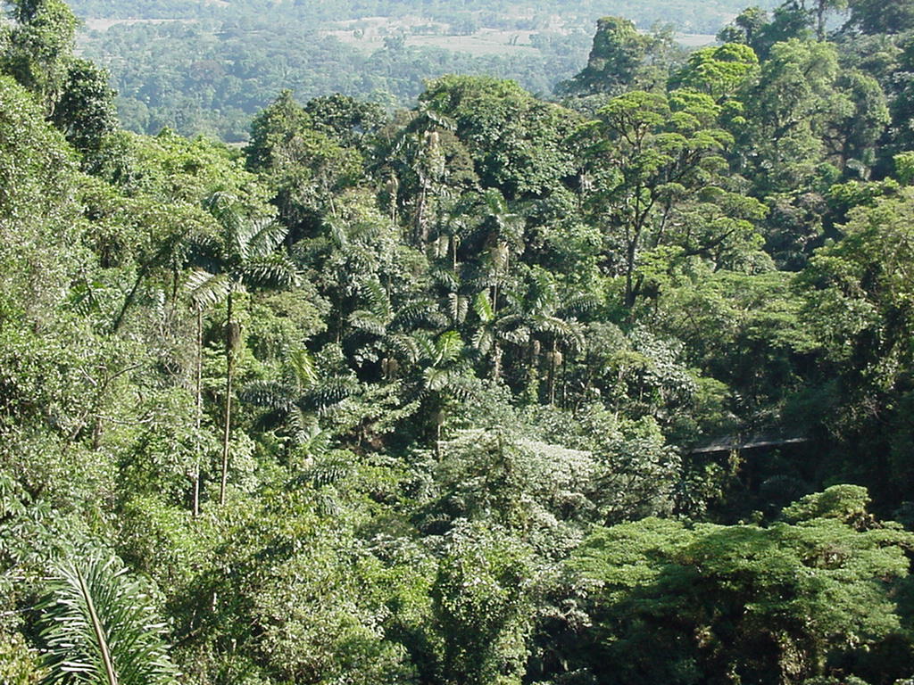 Costa Rica Project Photo